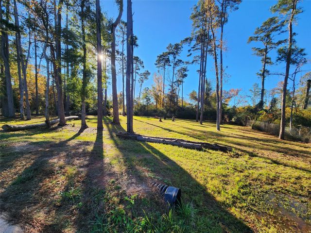 350 Brahman, Onalaska, TX 77360