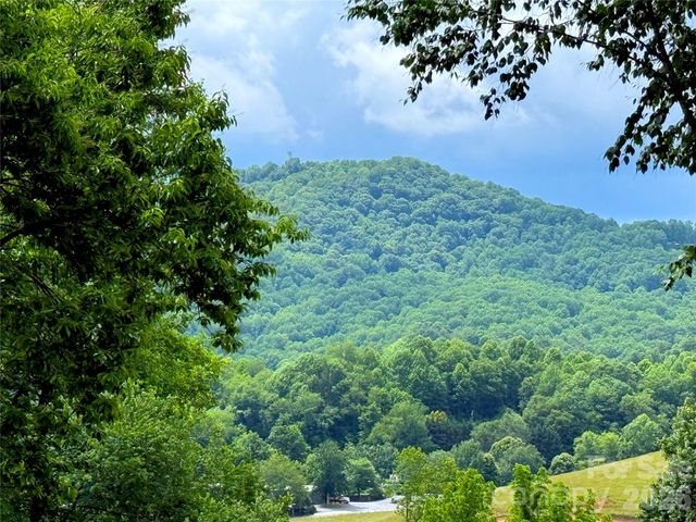 170 Cradling Cove, Waynesville, NC 28785