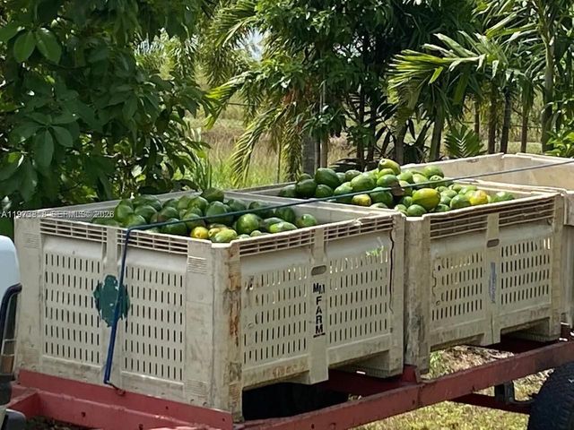 20401 SW 184 St, Miami, FL 33187