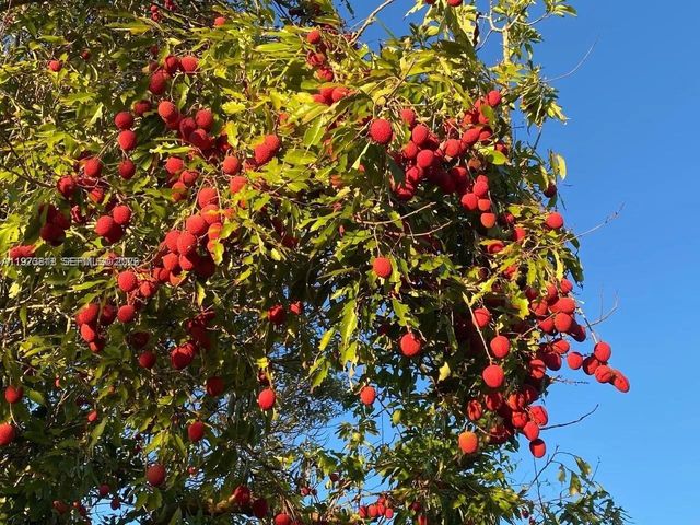 20401 SW 184 St, Miami, FL 33187