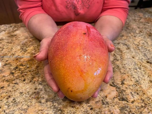 20401 SW 184 St, Miami, FL 33187