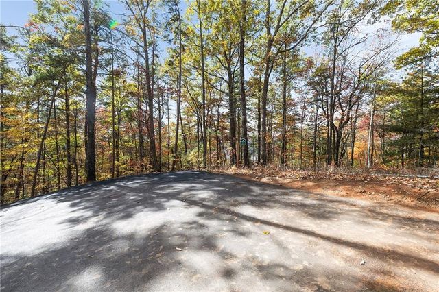 38 Jackies Bluff Road, Mineral Bluff, GA 30559