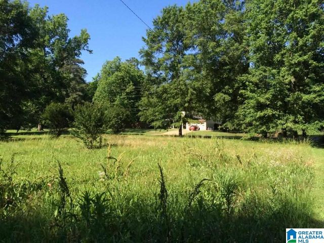 704 SW AVENUE X, Childersburg, AL 35044