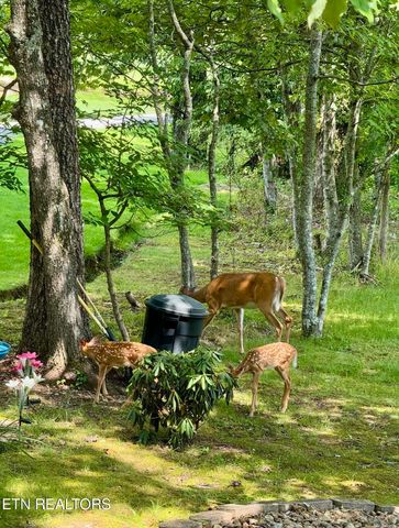 138 Baltusrol Rd, Crossville, TN 38558