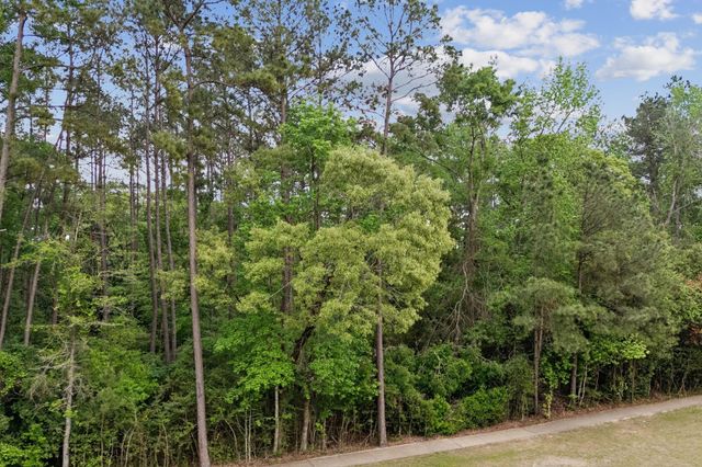 27318 Whispering Maple Way, Spring, TX 77386