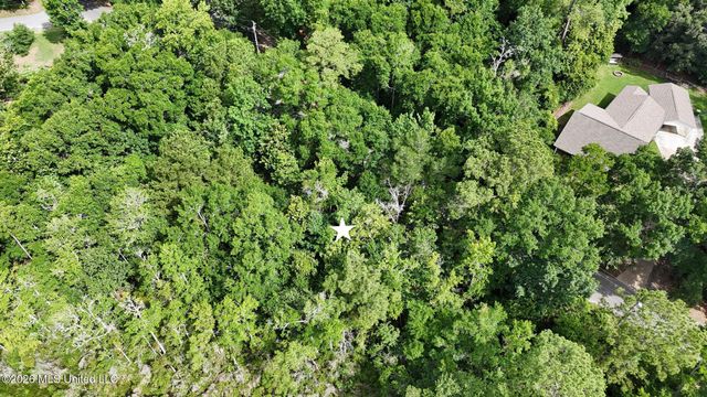 Dogwood Avenue, Ocean Springs, MS 39564
