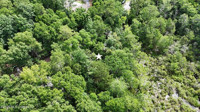 Dogwood Avenue, Ocean Springs, MS 39564