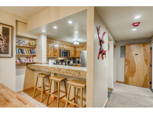 645 S Park Ave 303, Breckenridge, CO 80424