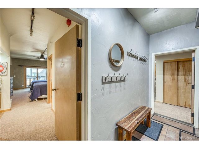 645 S Park Ave 303, Breckenridge, CO 80424