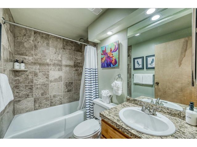 645 S Park Ave 303, Breckenridge, CO 80424