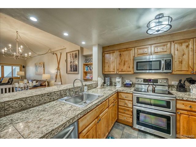 645 S Park Ave 303, Breckenridge, CO 80424
