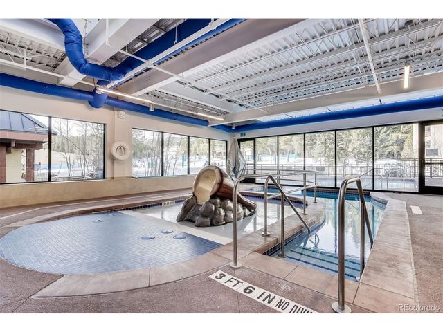 645 S Park Ave 303, Breckenridge, CO 80424