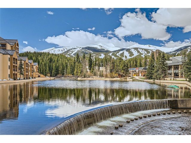 645 S Park Ave 303, Breckenridge, CO 80424