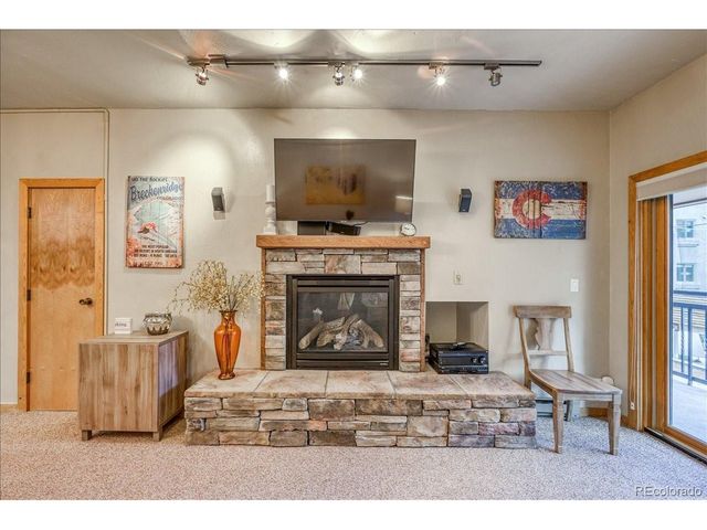 645 S Park Ave 303, Breckenridge, CO 80424