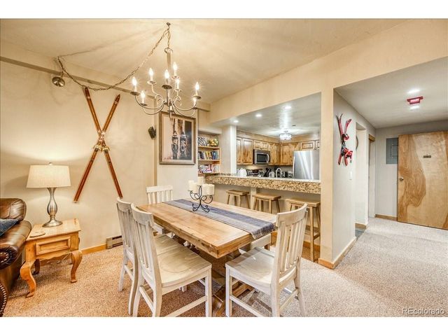 645 S Park Ave 303, Breckenridge, CO 80424