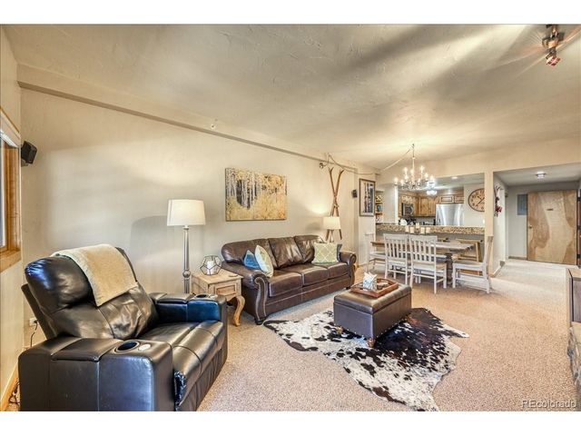 645 S Park Ave 303, Breckenridge, CO 80424
