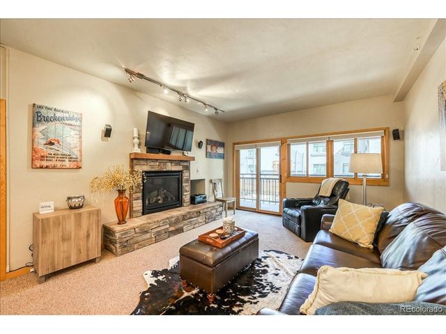 645 S Park Ave 303, Breckenridge, CO 80424