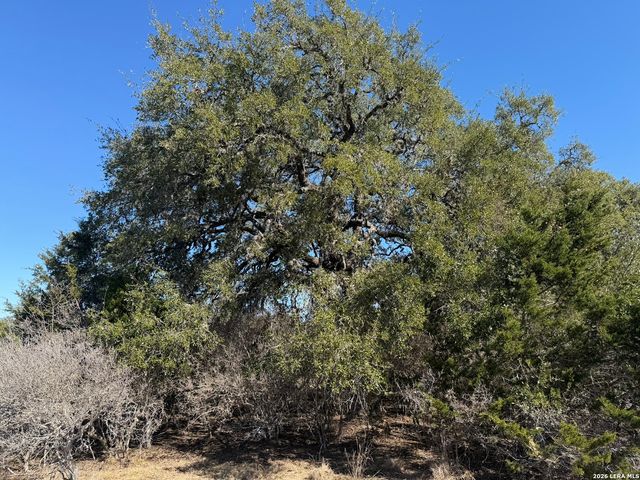 LOT 76 Horseshoe, Bandera, TX 78003
