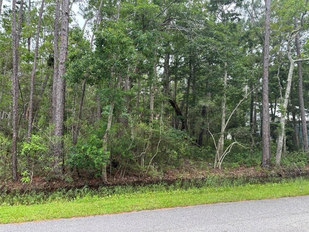 807 Alabama Avenue, Dauphin Island, AL 36528 — photo 2