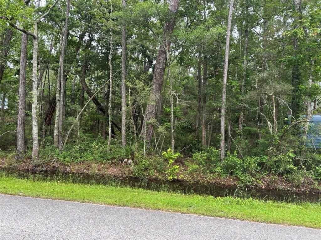 807 Alabama Avenue, Dauphin Island, AL 36528 — photo 3