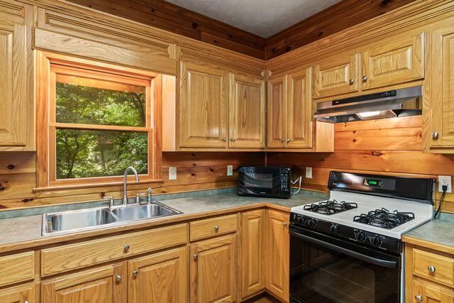 110 Novena Court, Ellijay, GA 30540