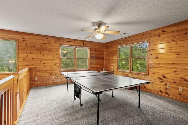 110 Novena Court, Ellijay, GA 30540