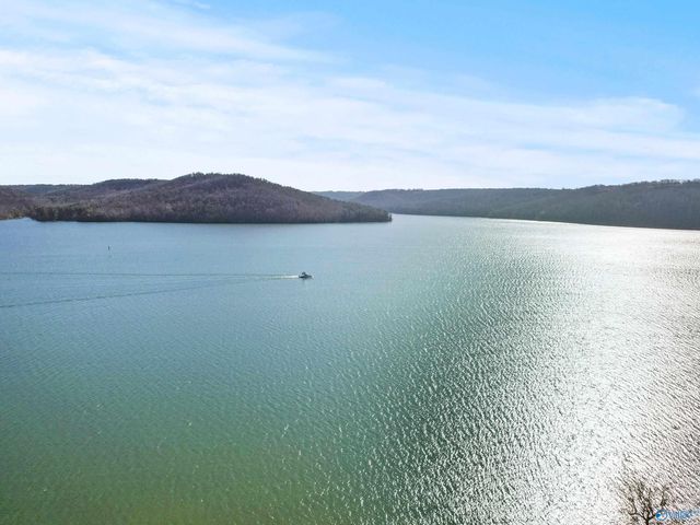 50 Pendleton Drive, Guntersville, AL 35976