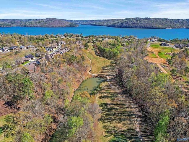 50 Pendleton Drive, Guntersville, AL 35976