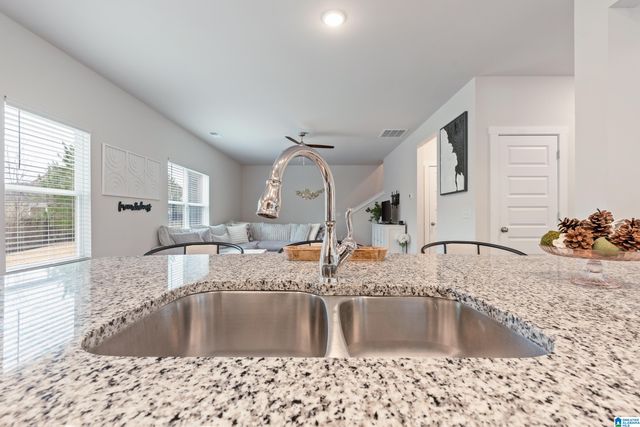9909 HUNTER PLACE, Warrior, AL 35180