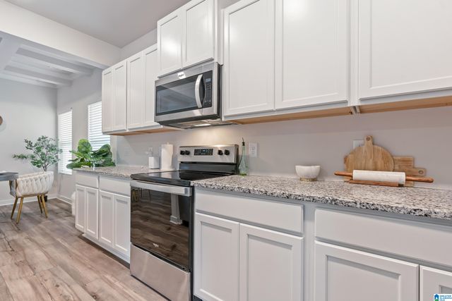 9909 HUNTER PLACE, Warrior, AL 35180