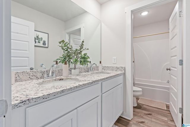 9909 HUNTER PLACE, Warrior, AL 35180