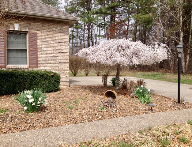 286 Ponderosa Trail, Corbin, KY 40701