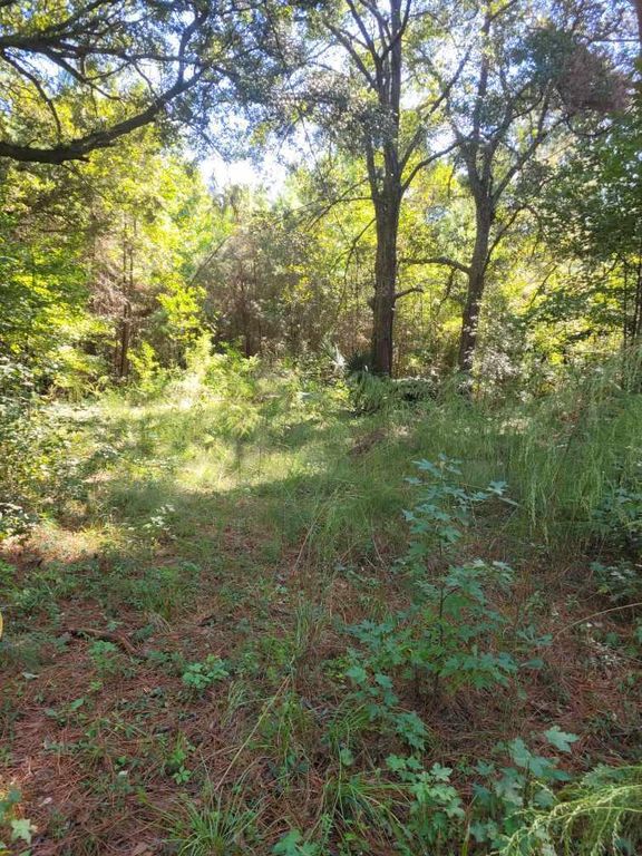 2814 Highway 174, Edisto Island, SC 29438