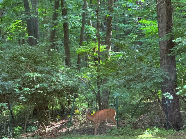 1724 Bent Tree Trail, West Lafayette, IN 47906