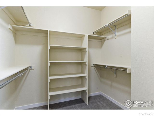 2884 Hydra Drive, Loveland, CO 80537