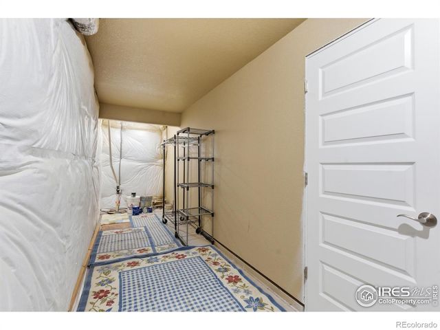 2884 Hydra Drive, Loveland, CO 80537