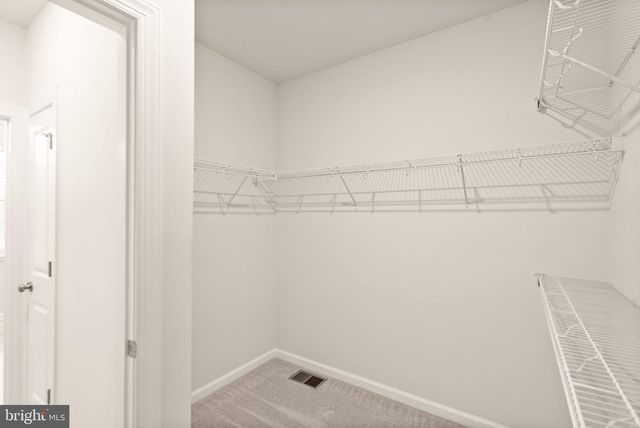 43361 RADFORD DIVIDE TER, Ashburn, VA 20148