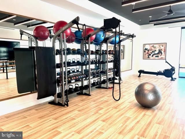 43361 RADFORD DIVIDE TER, Ashburn, VA 20148