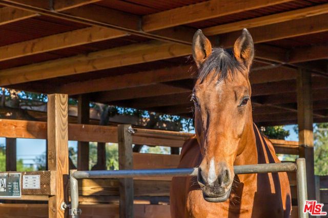 27349 Pacific Coast Highway, Malibu, CA 90265