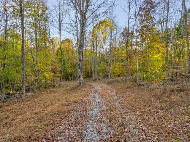 6 Belmont Rd, Clarksville, TN 37040