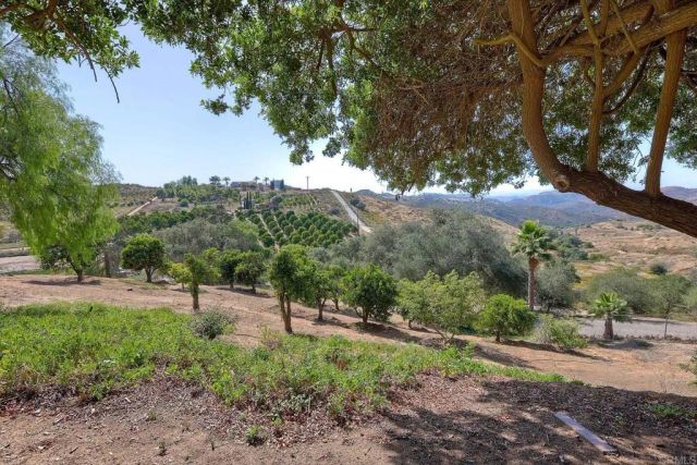 11105 Berry Road, Valley Center, CA 92082