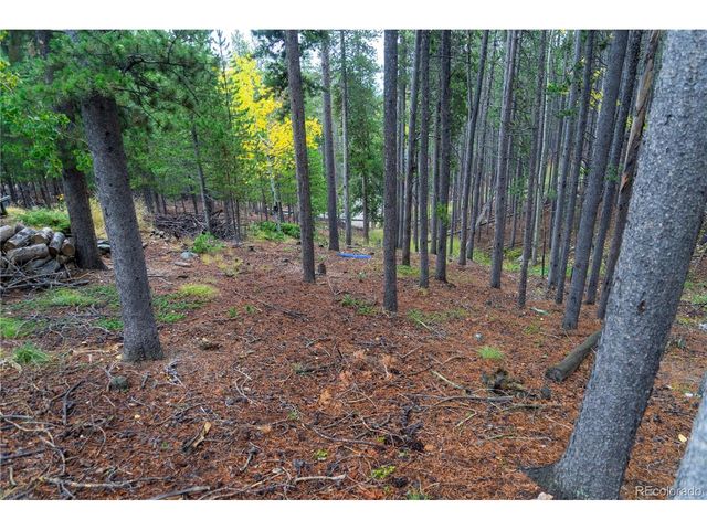 240 Deer Rd, Evergreen, CO 80439