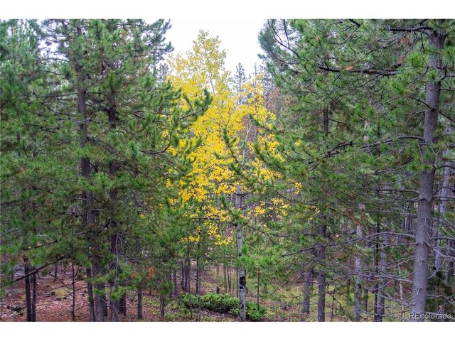 240 Deer Rd, Evergreen, CO 80439