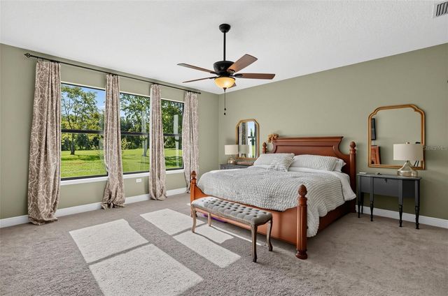 4650 LAKE PICKETT DRIVE, Groveland, FL 34736