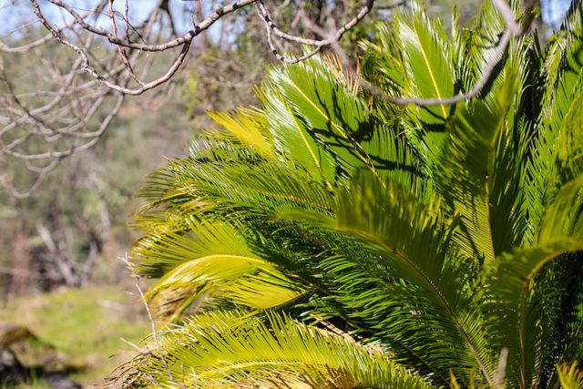 7555 Clear Canyon Road, Redding, CA 96001