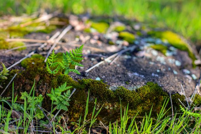 7555 Clear Canyon Road, Redding, CA 96001