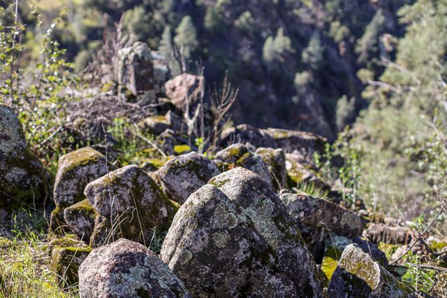 7555 Clear Canyon Road, Redding, CA 96001