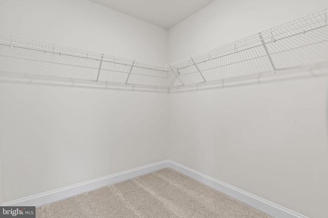 LOT 133 - 23691 WEEPING WILLOW WAY, Leonardtown, MD 20650