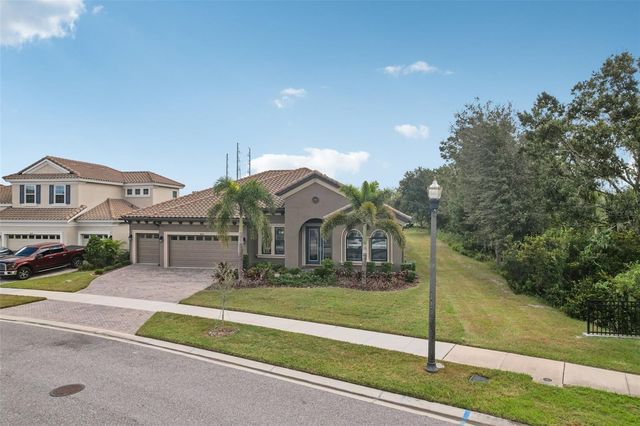14235 SWISS BRIDGE DRIVE, Riverview, FL 33579