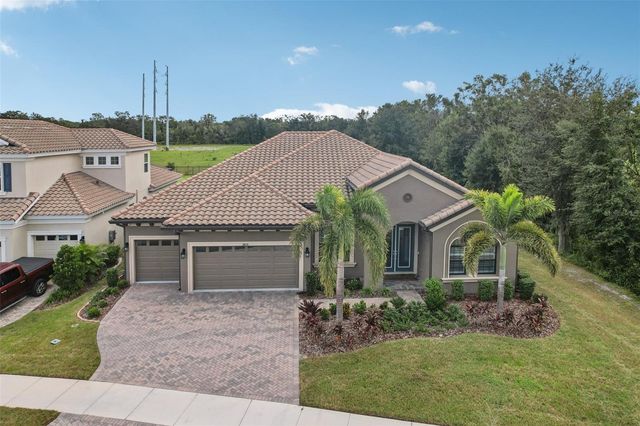 14235 SWISS BRIDGE DRIVE, Riverview, FL 33579